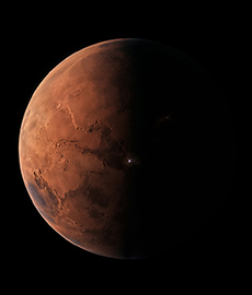 SpaceX - Starship Displays